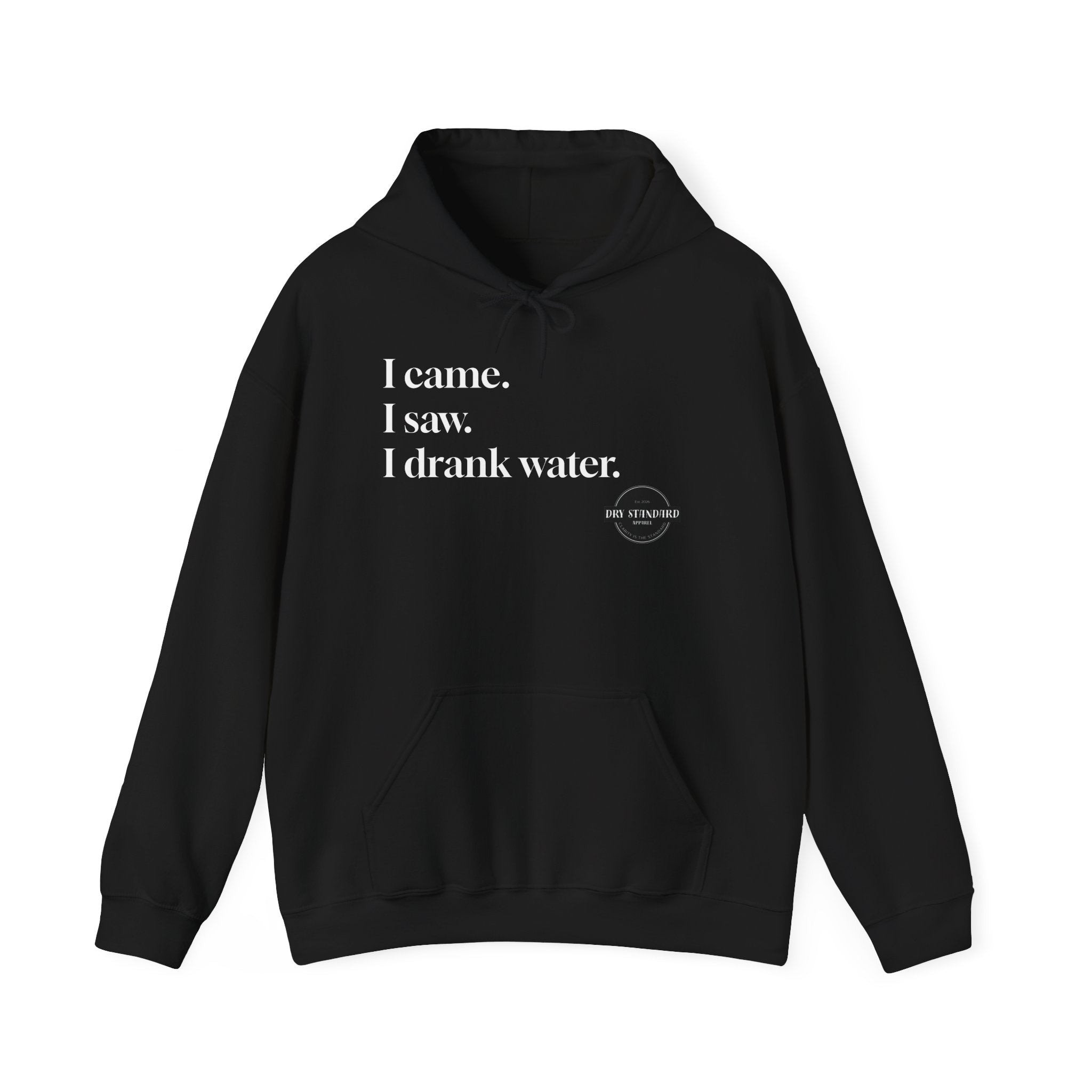 I Came. I Saw. I Drank Water. Hoodie