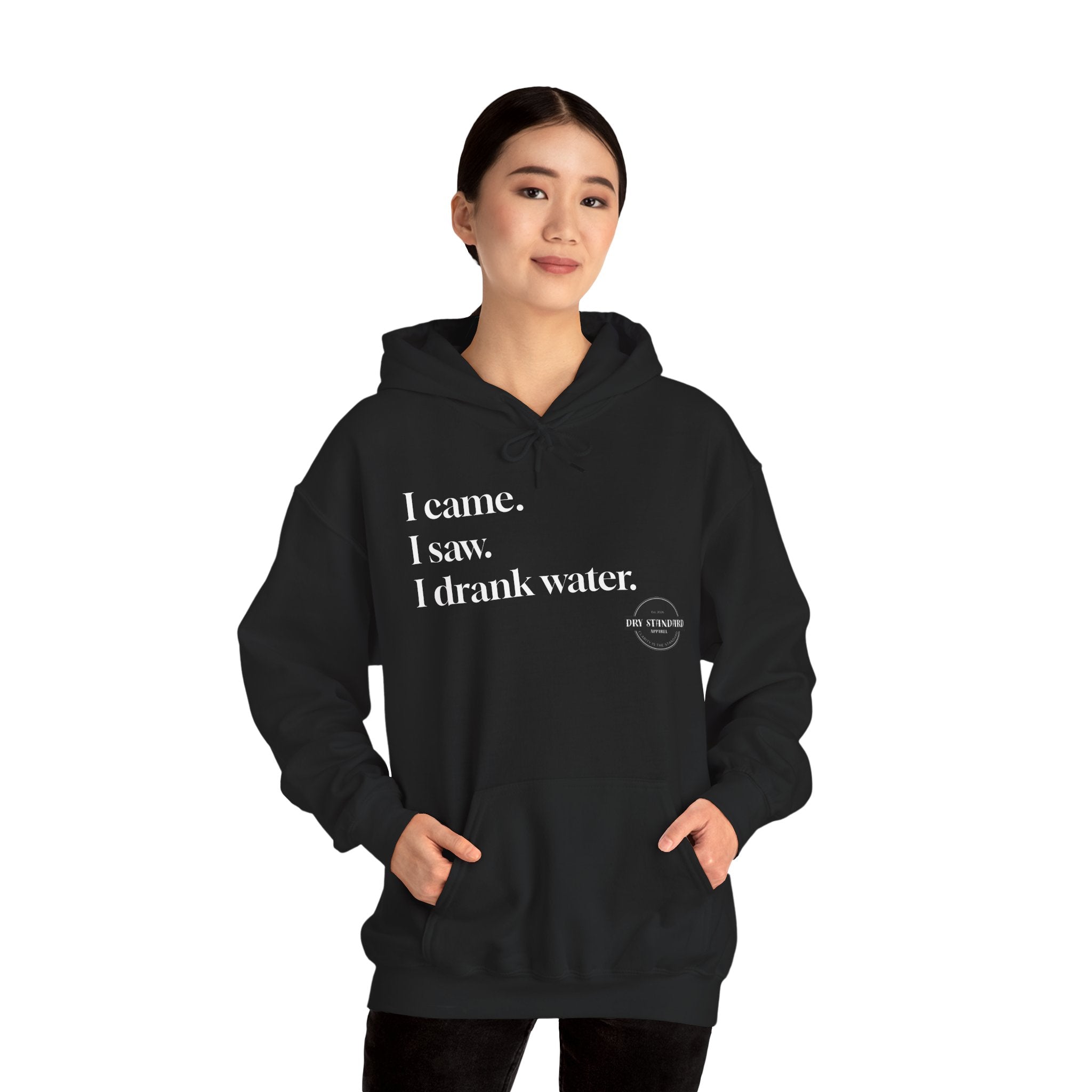 I Came. I Saw. I Drank Water. Hoodie